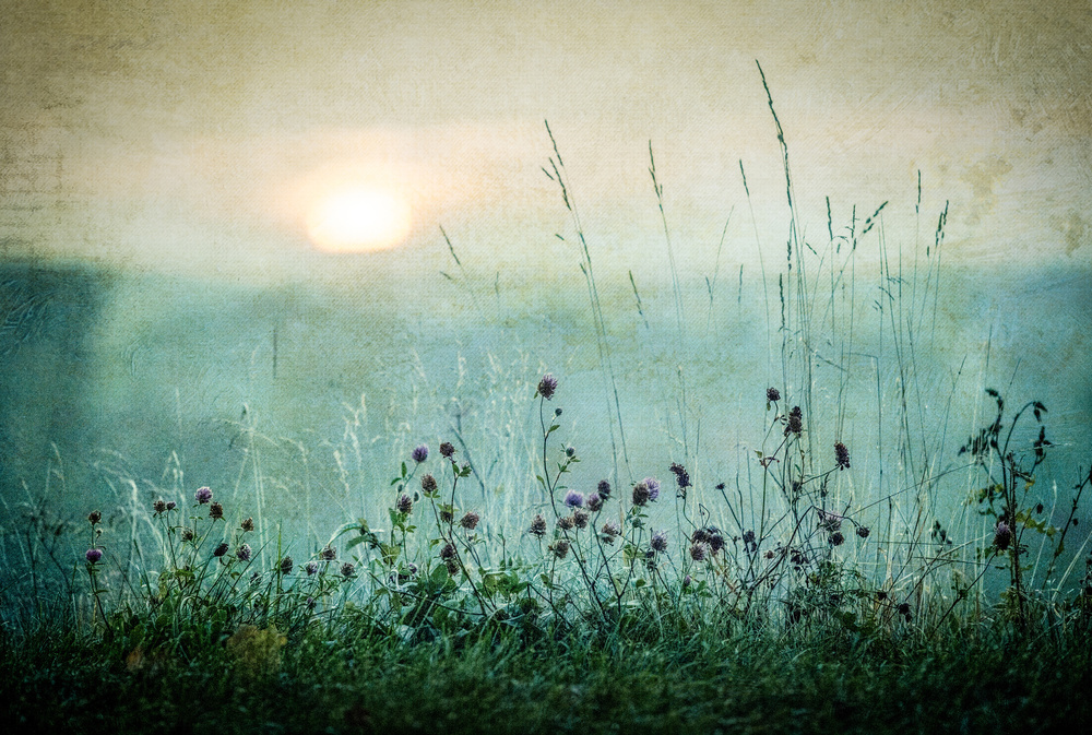 Nature match. Картина маленькая рассвета. Гравюра Восход солнца после дождя. Moonlight Meadow группа. Art nature poster.