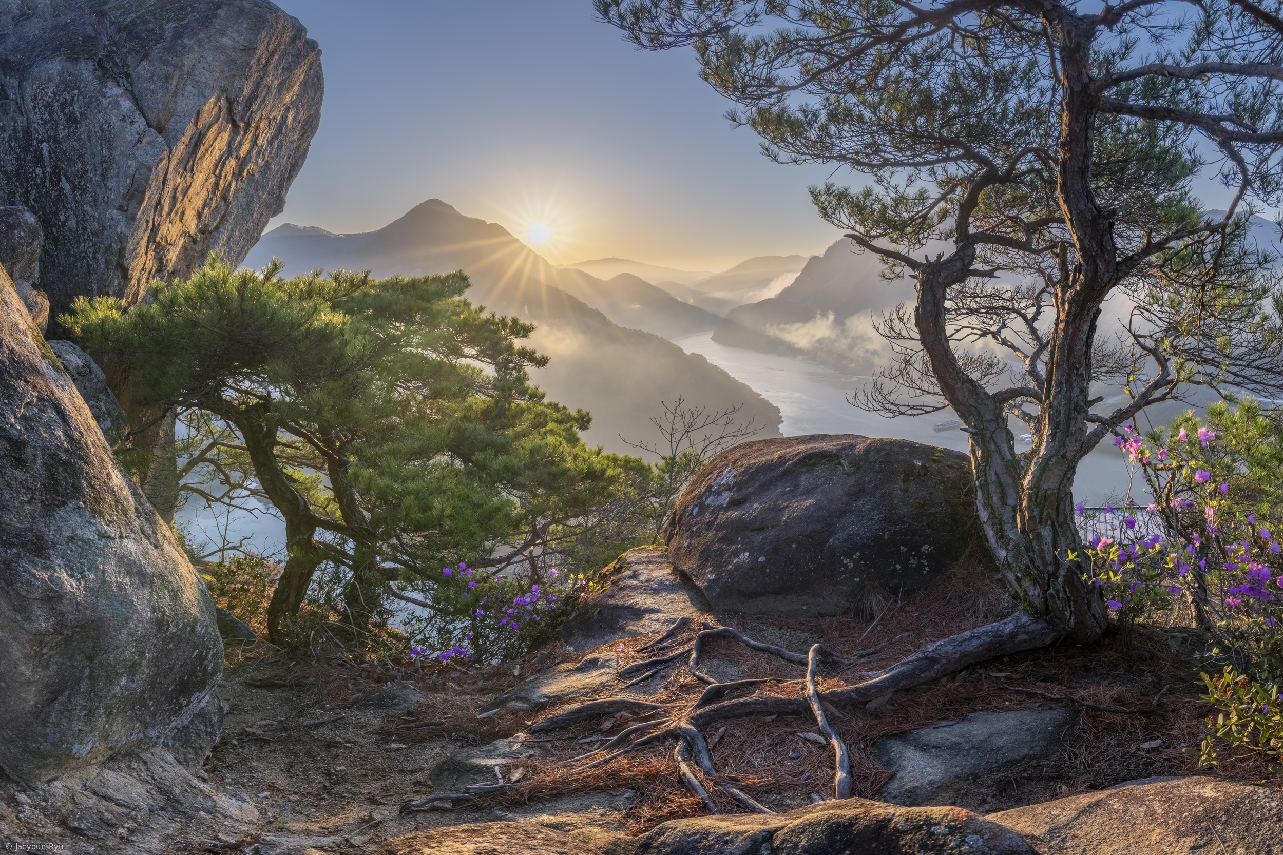 Jaeyoun Ryu фотограф