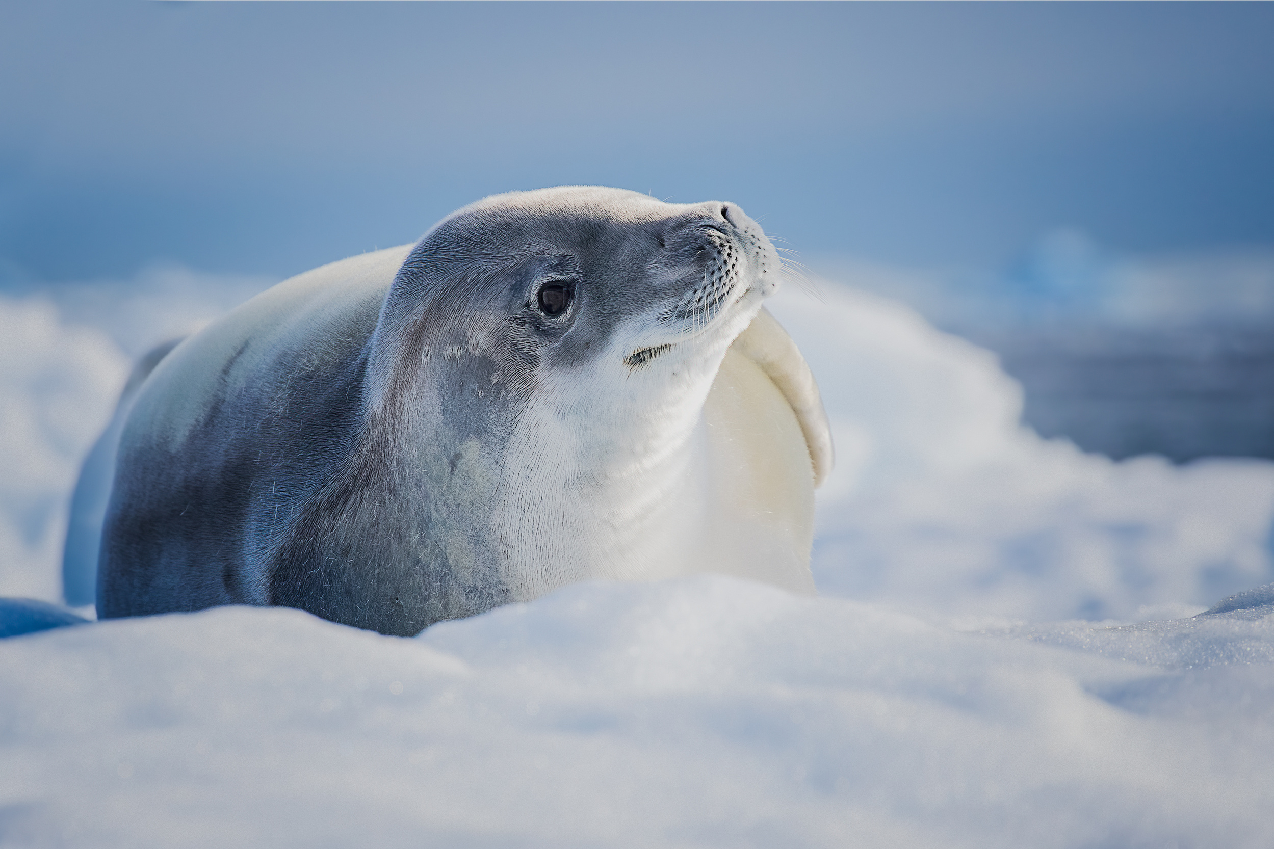 Just Wake up by Siyu and Wei Photography