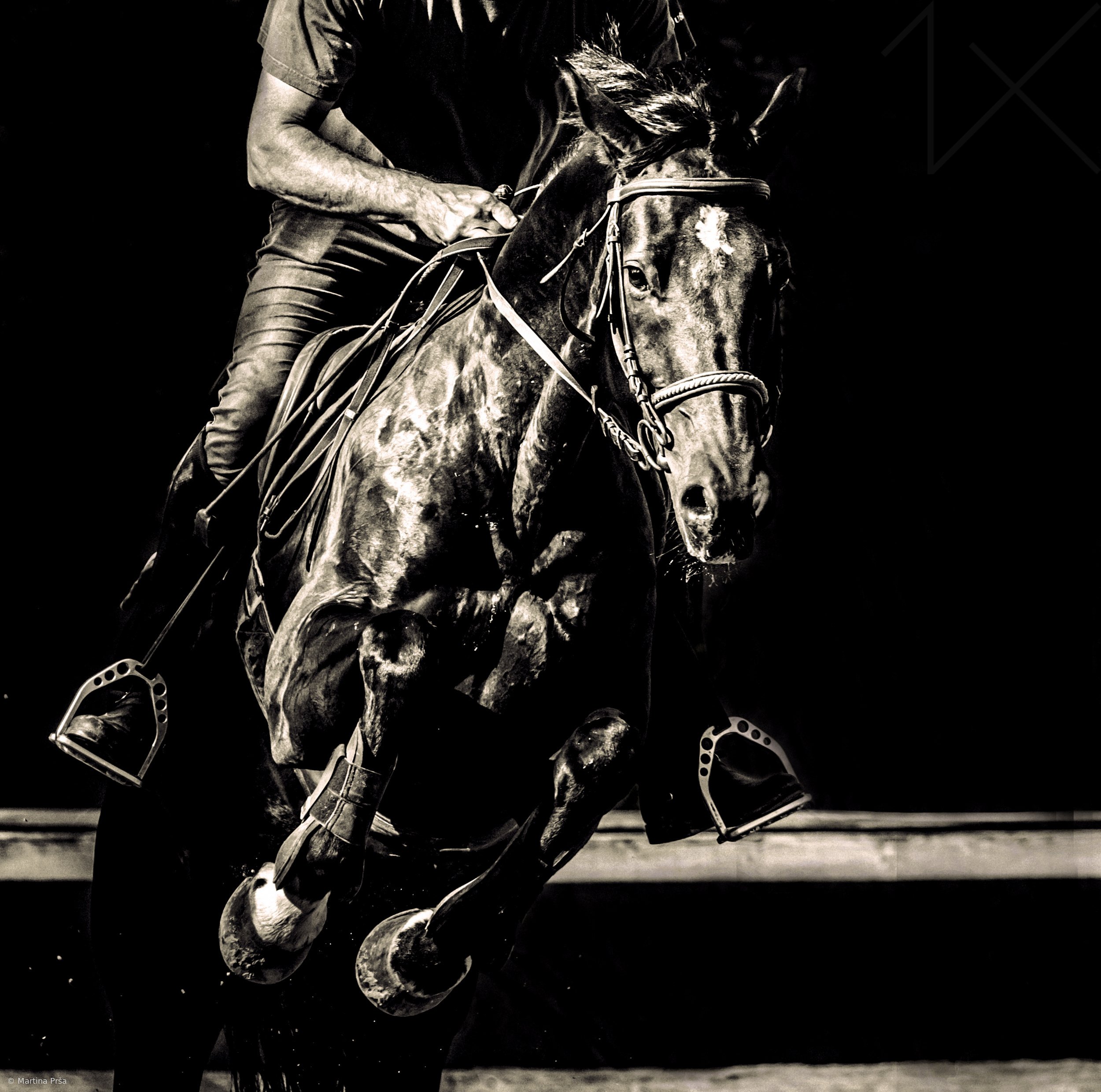 Concentration by Martina Prša