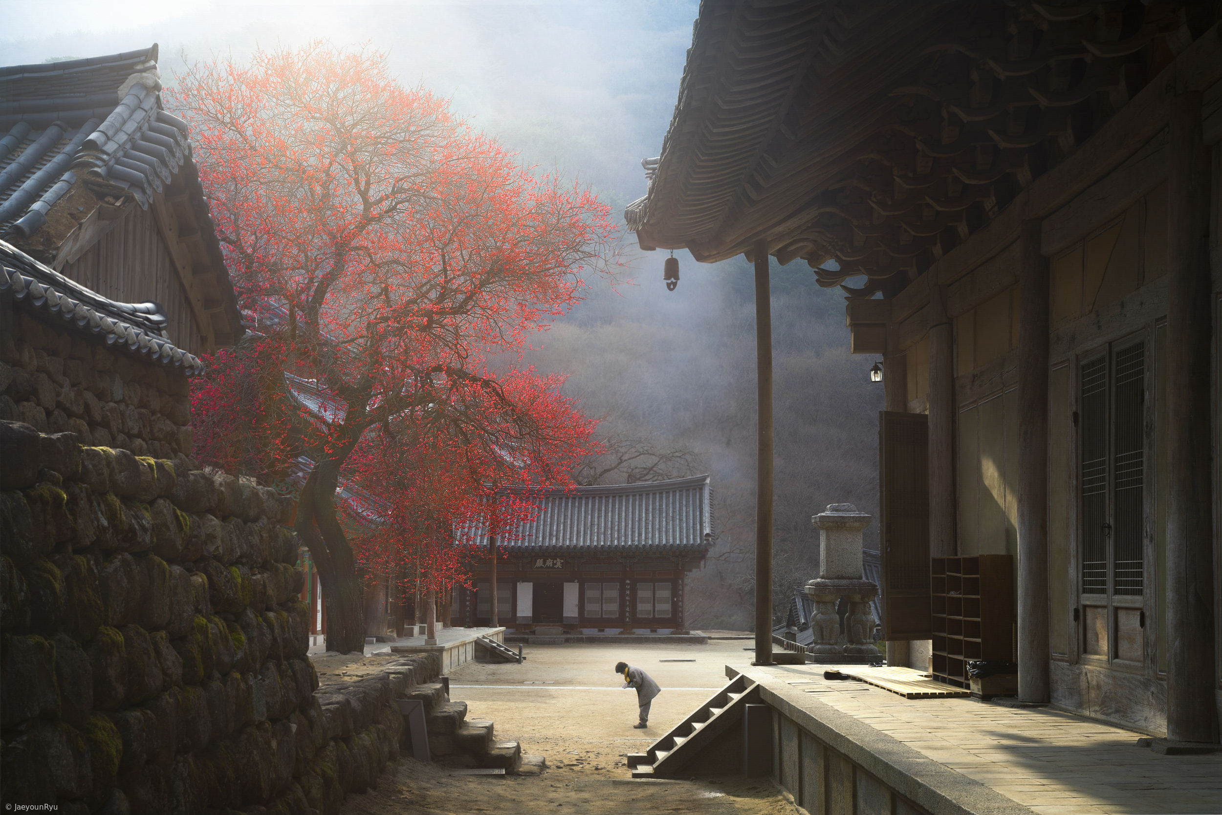 Temple Of The Morning Wood Chapter 6