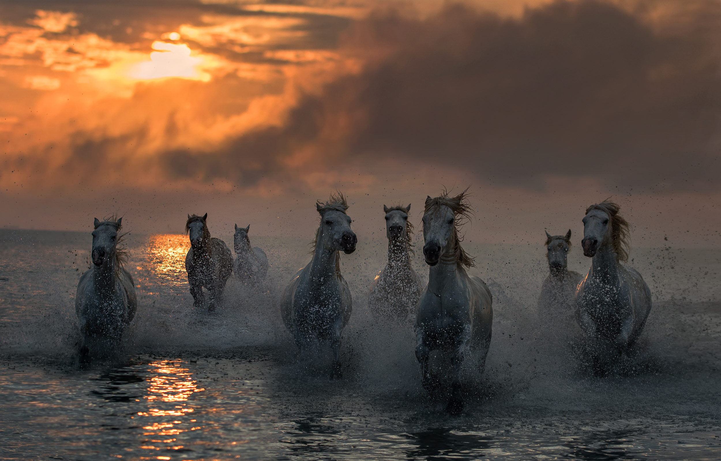 Camargue on fire by Xavier Ortega