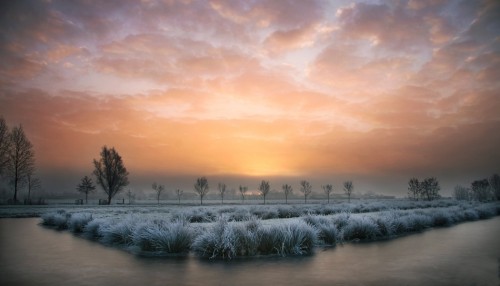 Midwinter Light by b.neeleman â€¢ 1x Photo Gallery