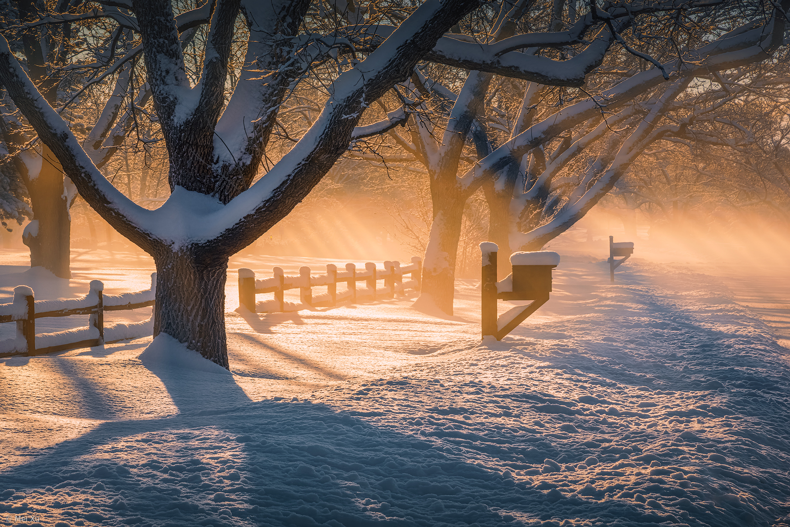 After Snow Storm By Mei Xu