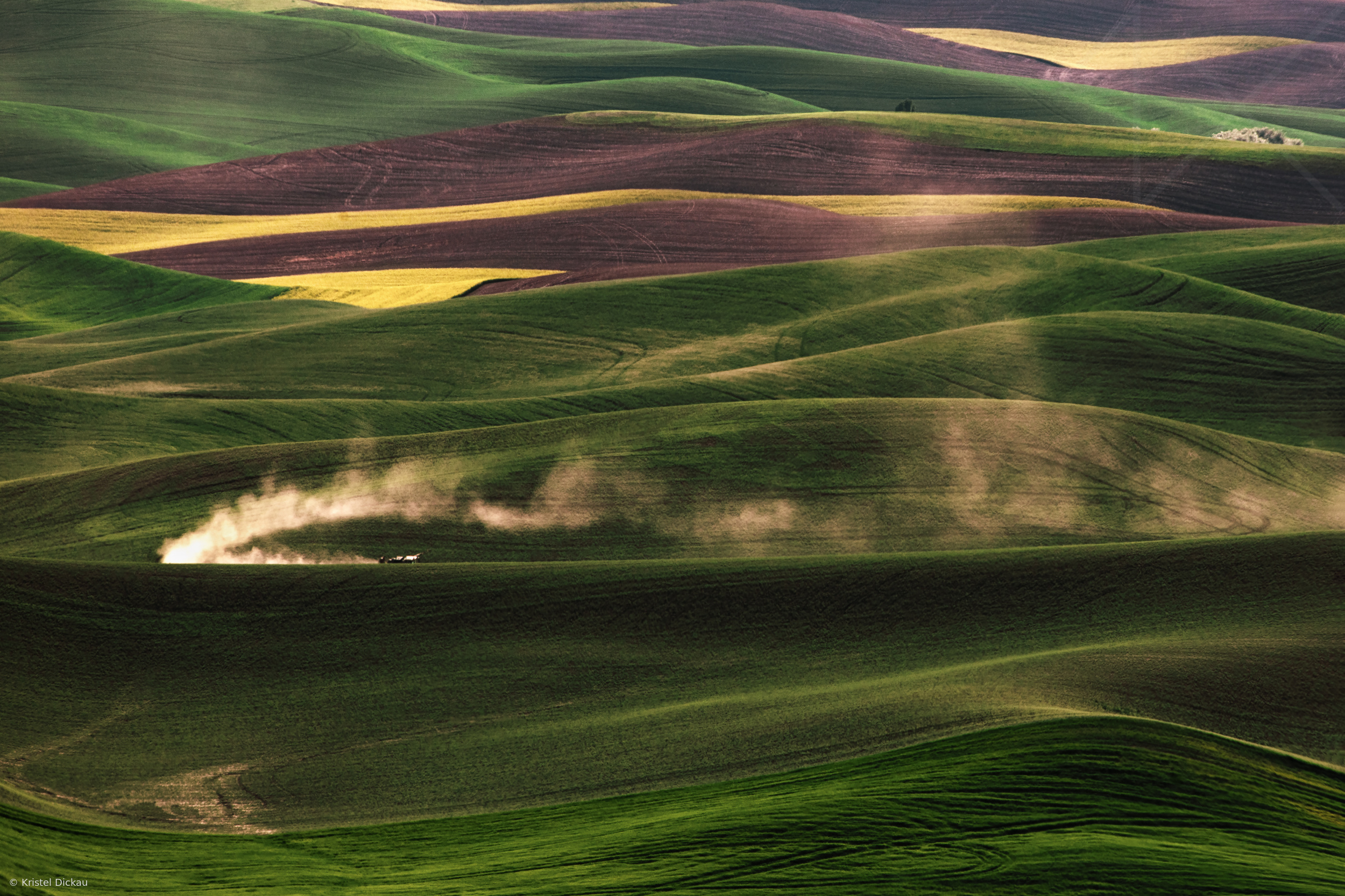 Palouse wheat fields by Kristel Dickau