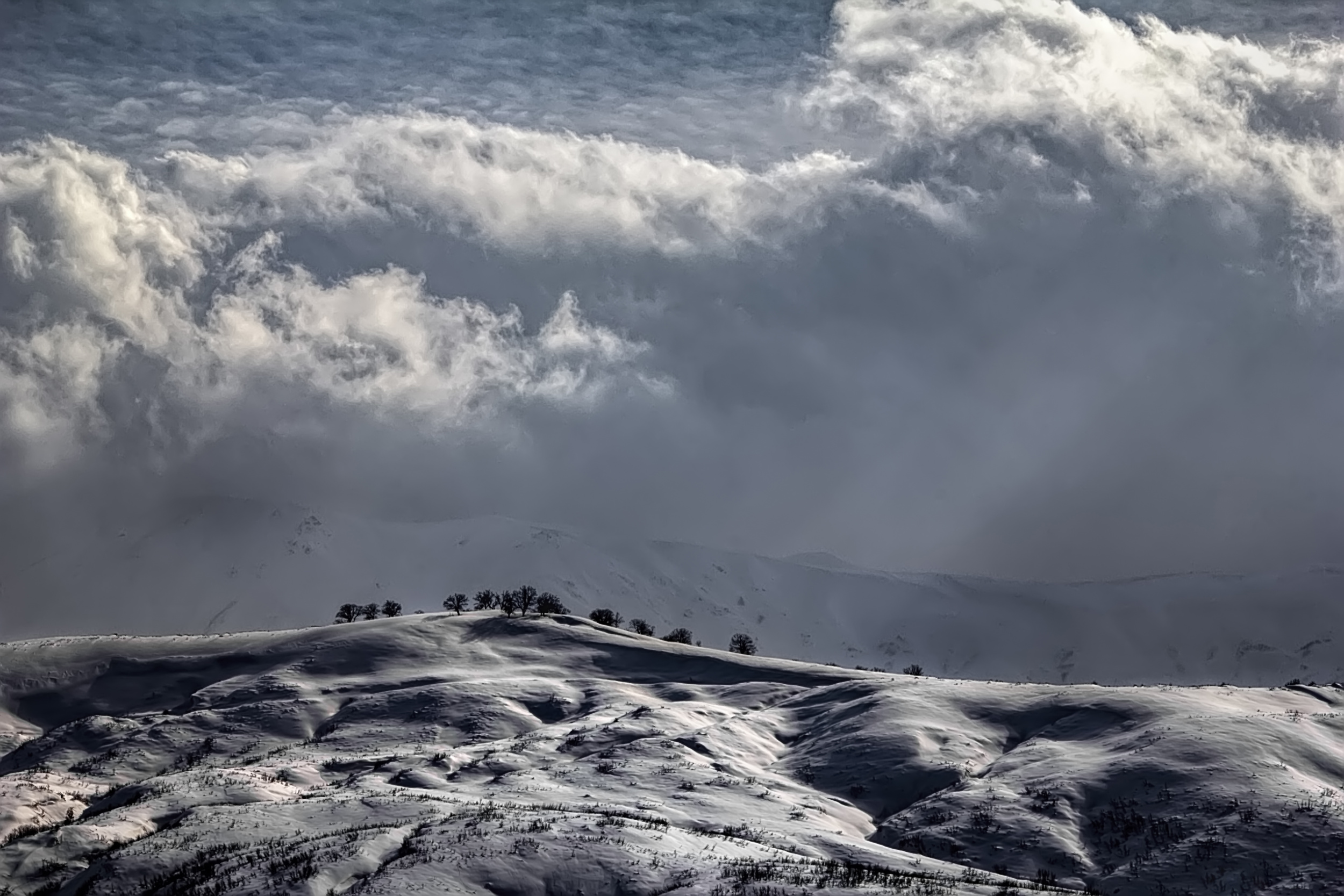 Distant treeline... by Nilgun Koksal