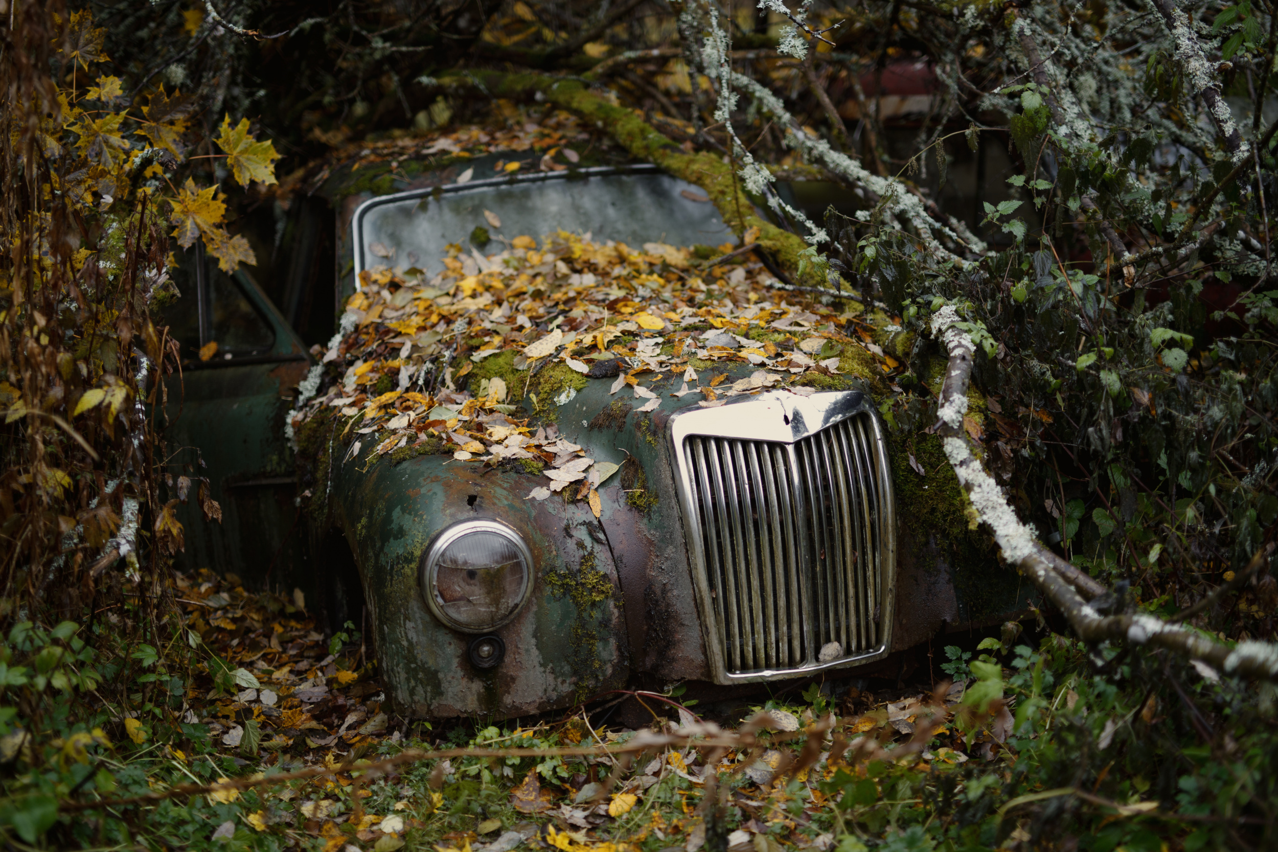 Брошенный мир машина. Заброшенные автомобили. Брошенные машины в лесу. Старые заброшенные автомобили. Заброшенные авто в лесу.