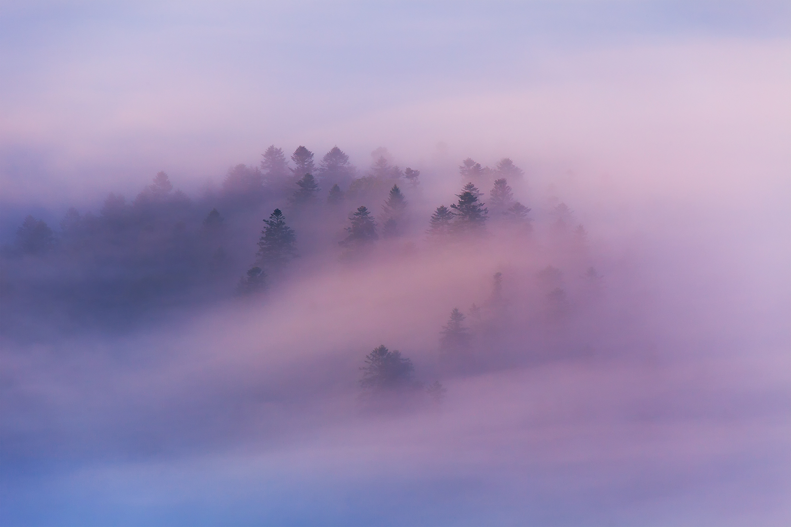 Будете видеть в тумане. Горы в тумане. Горы в розовом тумане. Туманное место. Густой туман.