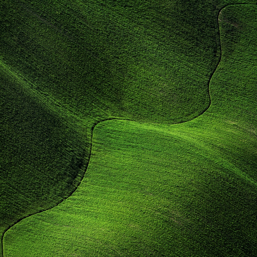 Green greener the greenest. Пейзаж в зелёном цвете. Мини пейзаж в зеленом цвете. Картинки с зелеными оттенком и пейзажами. Lawn Green цвет в природе.