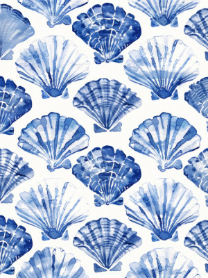 Coastal, Seaside &amp; Nautical