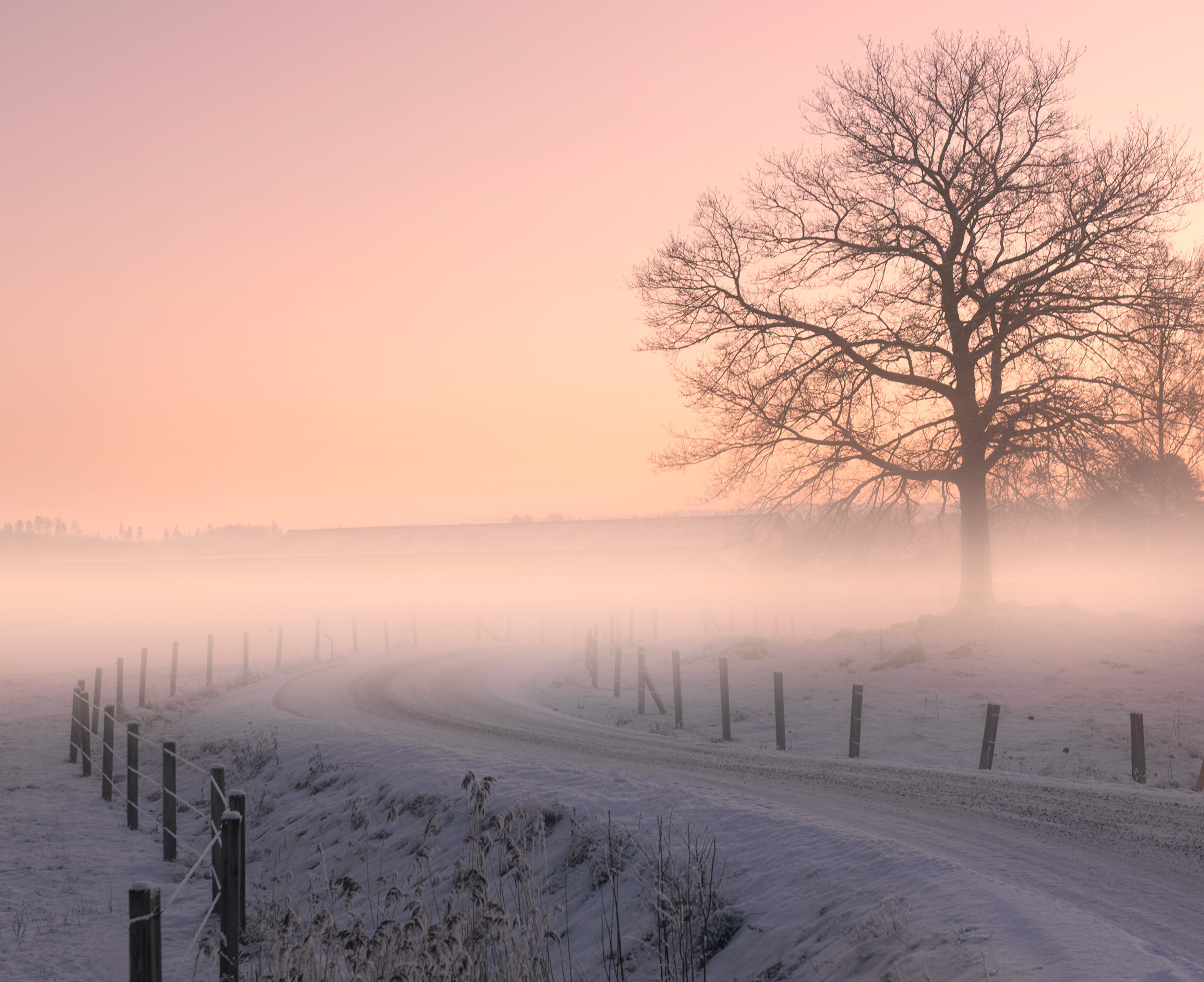 Snowy morning. Зимнее утро. Утро зима Швеция. Зимнее утро на реке фото. Morning Winter Miracle foto.