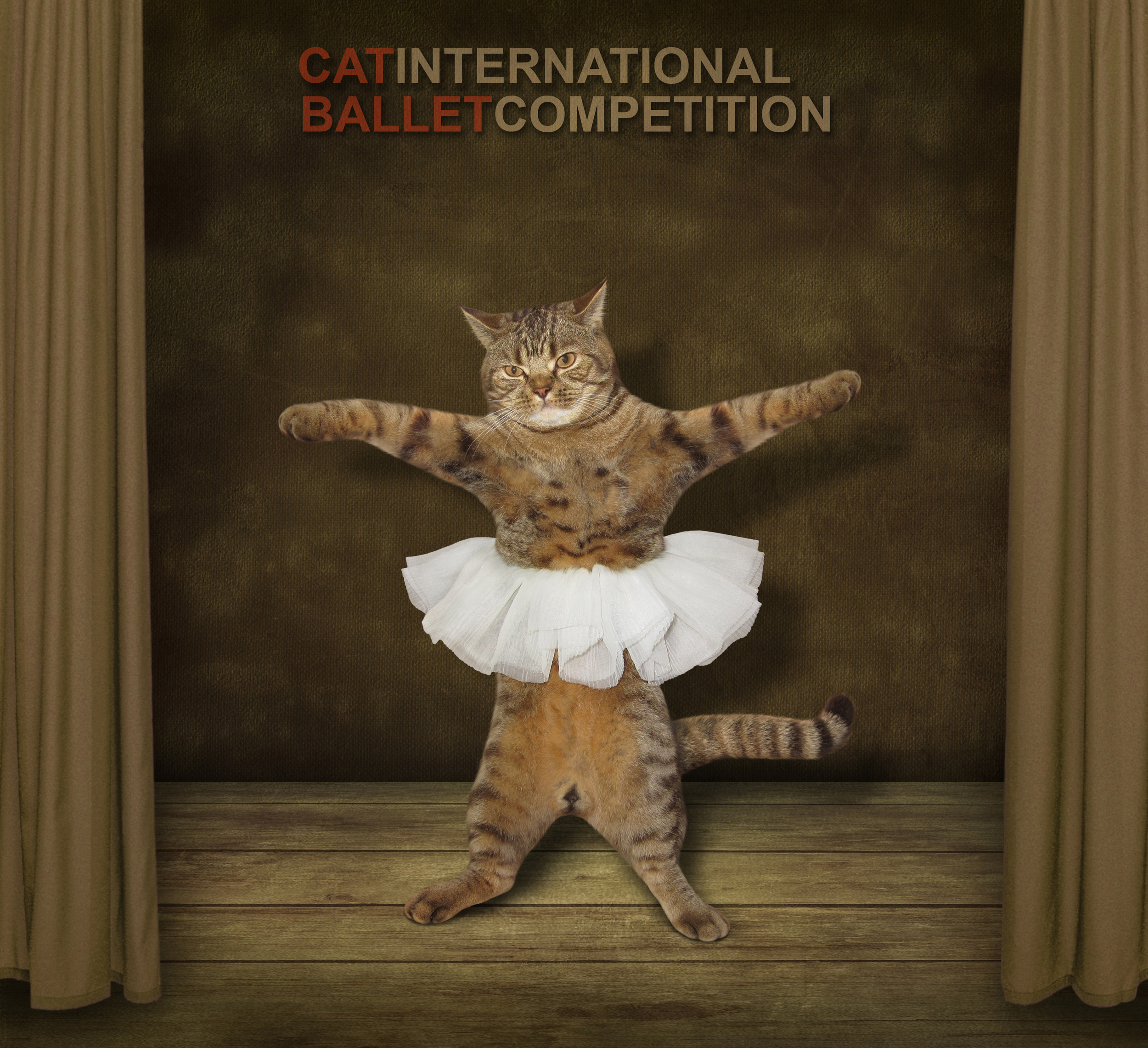 Omaha The Cat Dancer Torrent