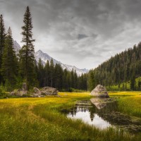 the meadow by james galvin the meadow by james galvin