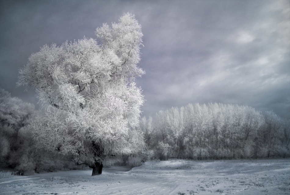 Песня winter wonderland. Winter 4 Seasons. Дмитрий Дивин времена года зима. Фотографии зима фотографии в былые времена. Silver-White Winters that Melt into Springs.