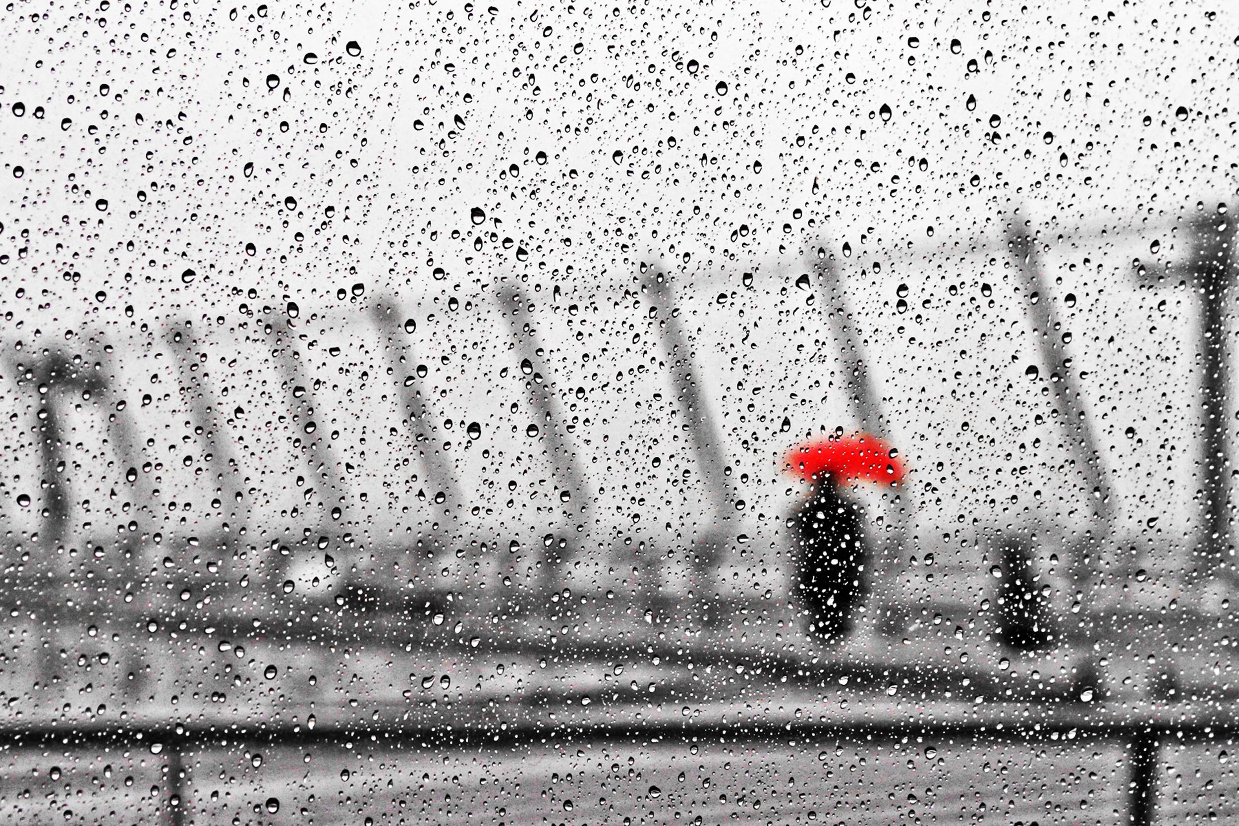 35 (Really) Beautiful Examples of Rain Photography