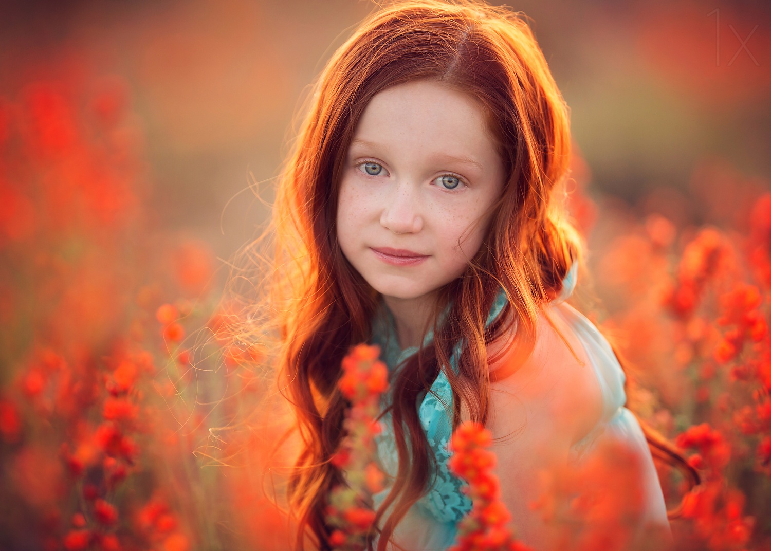 Ginger Beauty by Lisa Holloway