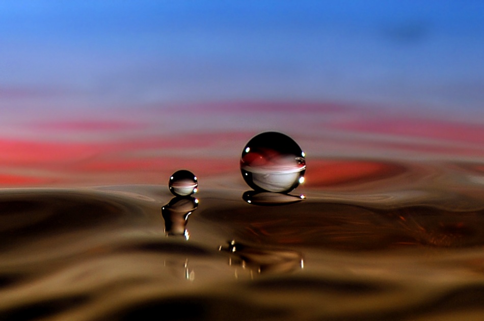 o O by Sugeng Sutanto