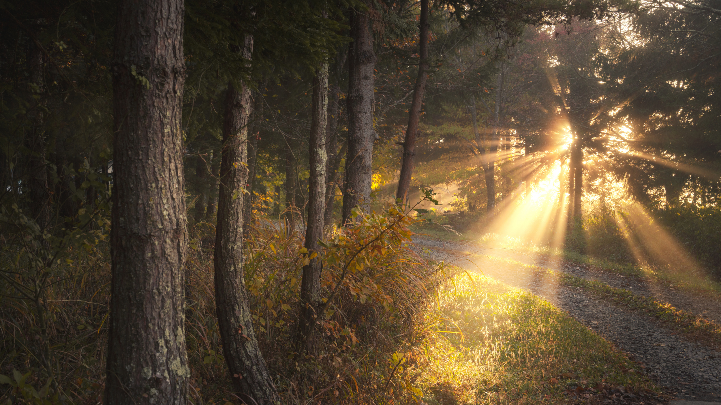 Guiding Light By Masaki Sugita