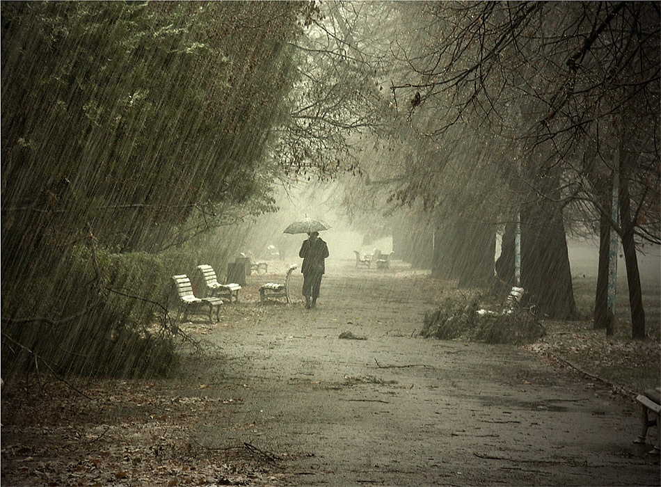 Rain Thoughts by Nikolay Nikolov